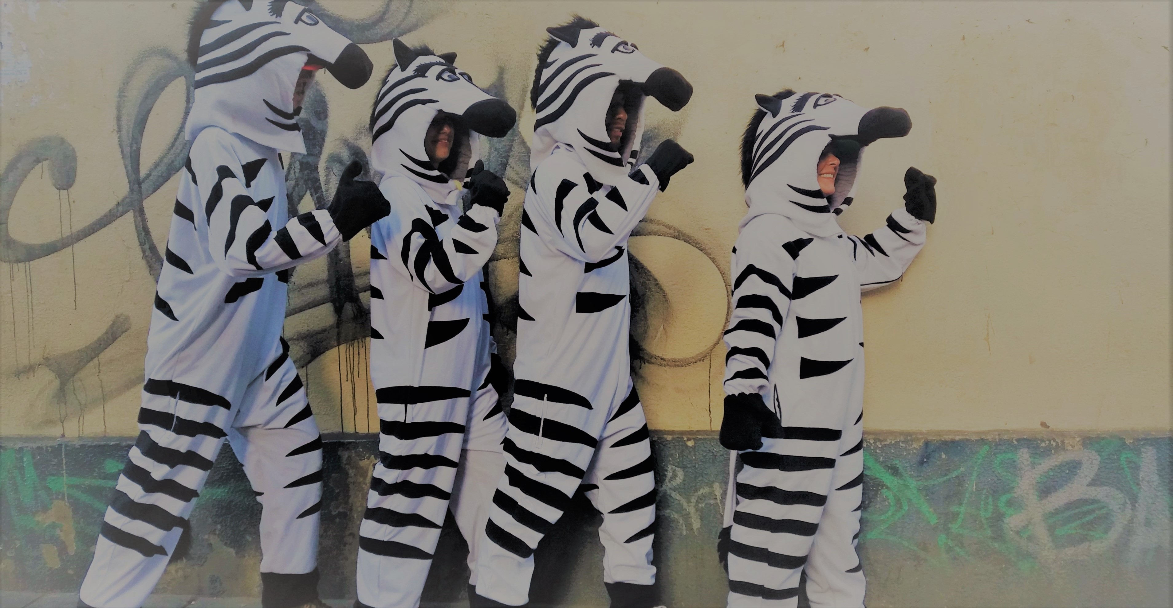 Yes, it's true—everything IS better with zebras!